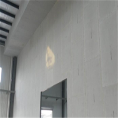 玛曲新型建筑材料掺多种工业废渣的ALC|ACC|FPS模块板材轻质隔墙板